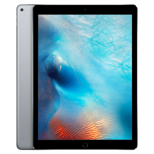 iPad Pro 12.9 (2015) 1e génération 128 Go - WiFi - Gris Sidéral